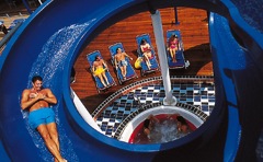 carnival cruise line