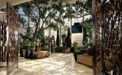 Celebrity Constellation conservatory