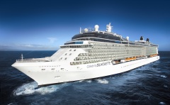 Celebrity Silhouette