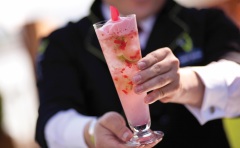 Celebrity Silhouette